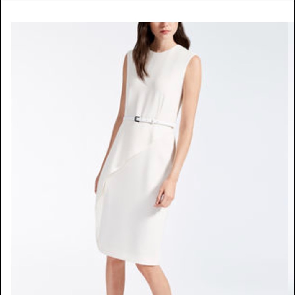 MaxMara Cady Dress